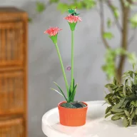   Szolár színes virág - 8 x 8 x 32 cm - 10 melegfehér LED - piros