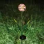 Napelemes Hortenzia kerti lámpa - 2 féle - 25 melegfehér LED -- 65 cm