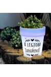Top ajándékötlet - Egyedi neves napelemes virágcserép, 4x led, 19 cm