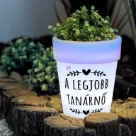   Top ajándékötlet - Egyedi neves napelemes virágcserép, 4x led, 19 cm