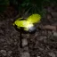 Leszúrható napelemes méhecske 14 cm - fehér LED