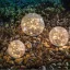 Napelemes kerti Kristálygömb lámpa leszúrható melegfehér 10 cm 10 LED
