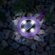   LED-es leszúrható szolár lámpa - lila - hidegfehér - 11,5 x 2,3 cm