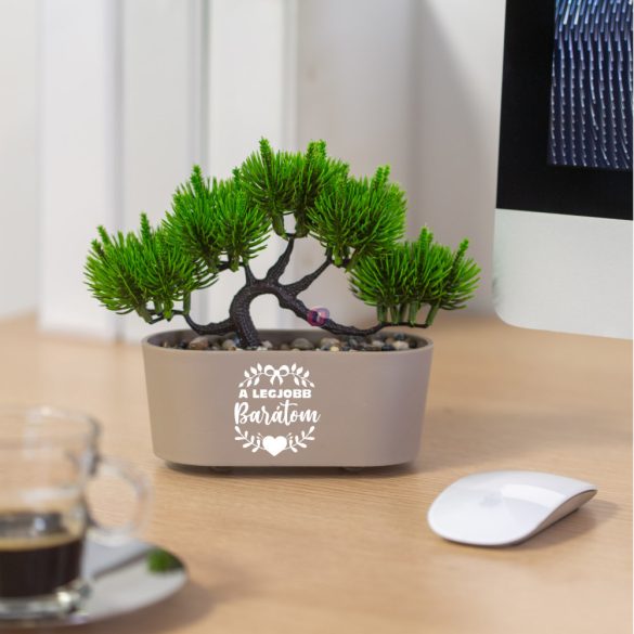 Egyedi neves bonsai dekorációs műnövény 20x9 cm