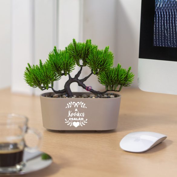 Egyedi neves bonsai dekorációs műnövény 20x9 cm