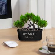 Bonsai cserépben - Műnövény dekoráció 20 cm