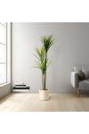 Műnövény dekoráció - Dracaena Marginata - zöld - 1,2 m