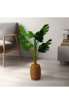 Műnövény dekoráció - filodendron - 1 m