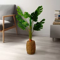 Műnövény dekoráció - filodendron - 1 m