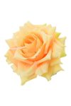 Selyemvirág rózsafej 8 cm sárga 12 db-os szett