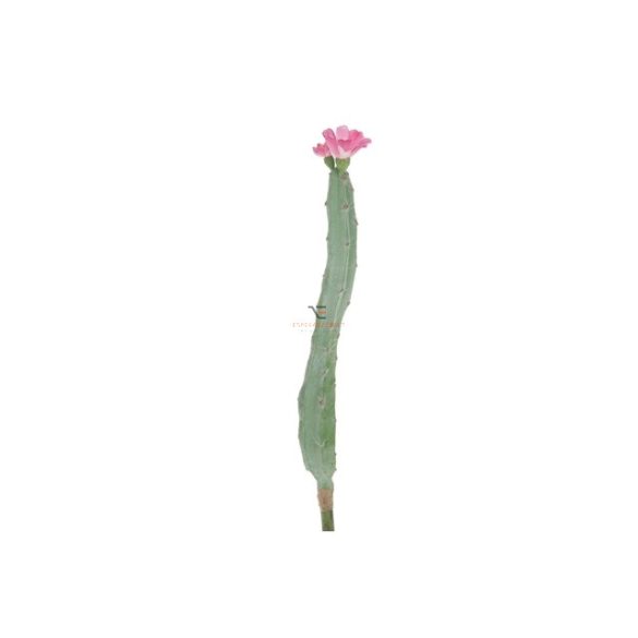 Kaktusz virággal 41cm rózsaszín