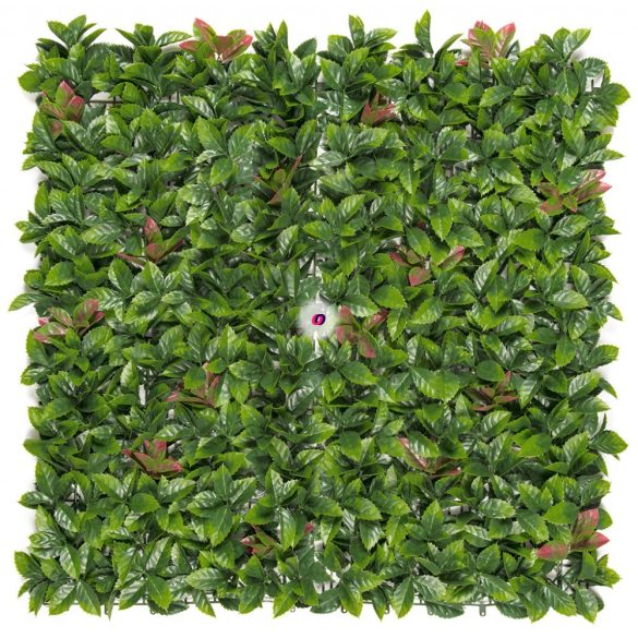 Zöld fal, négyzet műanyag 50x25 cm Red Lauro