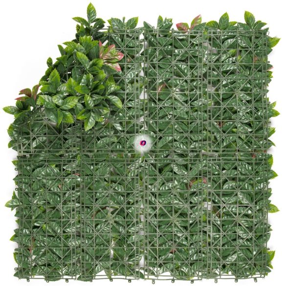 Zöld fal, négyzet műanyag 50x25 cm Red Lauro