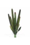 Művirág, kaktusz 25cm zöld