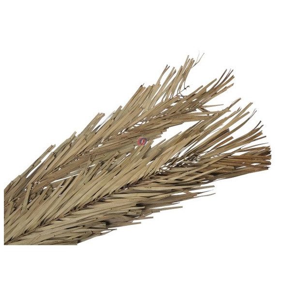 Khajur levél 118 cm 6 db-os szett