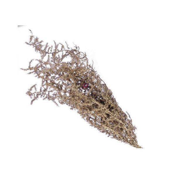 Asparagus csokor 55 cm