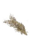 Asparagus csokor 55 cm arany