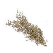Asparagus csokor 55 cm arany