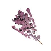 Populus ág 55 cm bordó