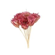 Virág bambusz szárral 50 cm pink 10 db-os szett