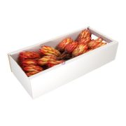 Protea 30 db-os narancs szett