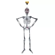 2db XL Halloweeni csontváz dekor szett 115 cm