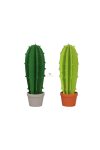 Kaktusz fa 5x14cm zöld 2 féle