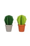 Kaktusz fa 10x15,5cm zöld 2 féle