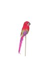 Papagáj betűzős 22 cm színes 4 db-os szett - 364058