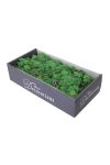 Izlandi zuzmó dobozban 500g zöld