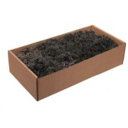 Izlandi zuzmó dobozban, 500 g, fekete