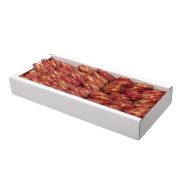 Protea 100 db-os narancs szett