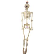   Élethű Halloween Csontváz Dekoráció – 165 cm – PP Anyagból