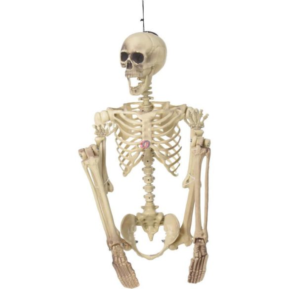 Élethű Halloween Csontváz Dekoráció – 165 cm – PP Anyagból