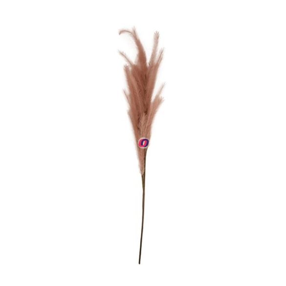 Selyemvirág tollborzfű 110x30x7 cm mályva