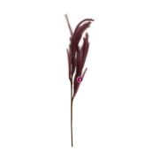 Selyemvirág tollborzfű 110x30x7 cm lila