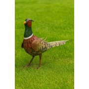 Prémium Kerti figura fácán fém 58 cm
