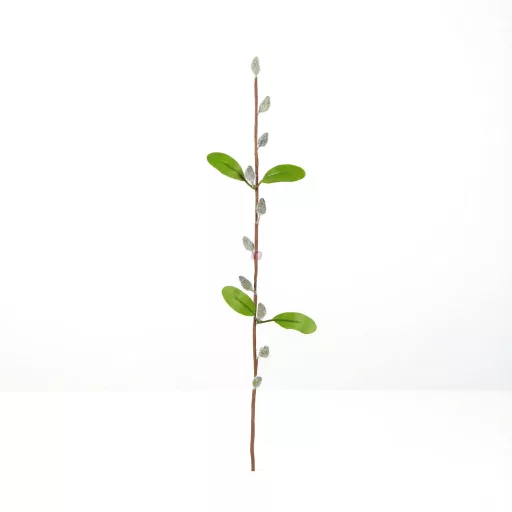 Barkaág - szálas - 58 cm