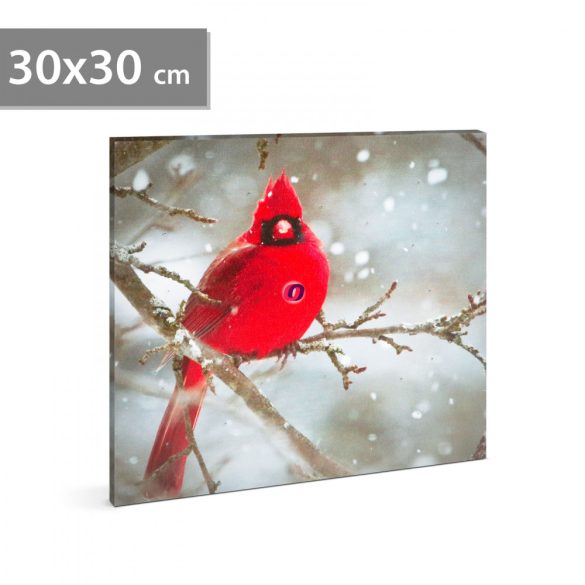LED-es fali kép vörös pinty 30 x 30 cm
