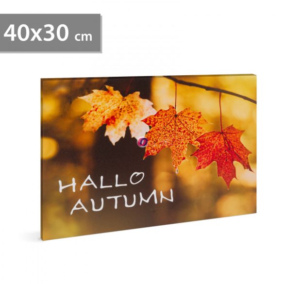 Őszi LED-es fali hangulatkép Hello Autumn, 40 x 30 cm