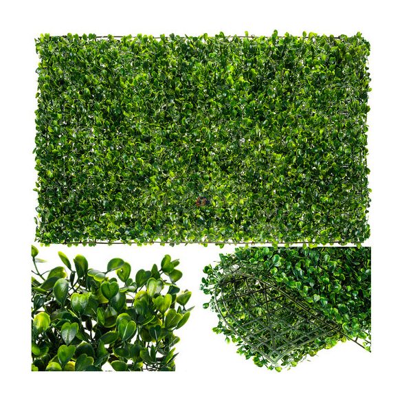 Zöld fal, buxus HD, élethű 40x60cm zöld toldható