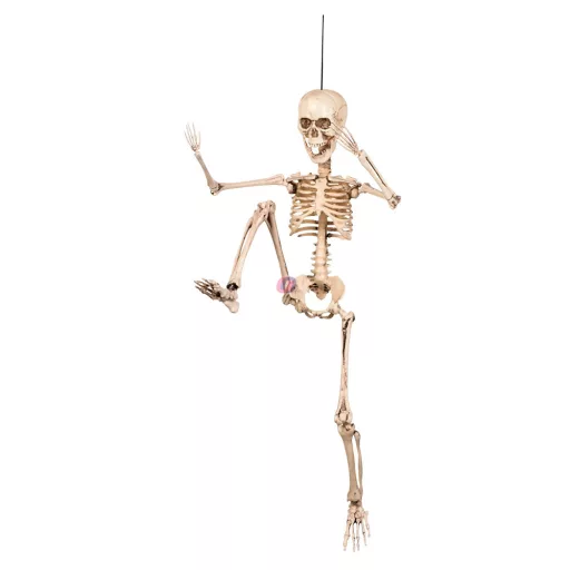 Halloweeni csontváz mozgatható végtagokkal 50 cm