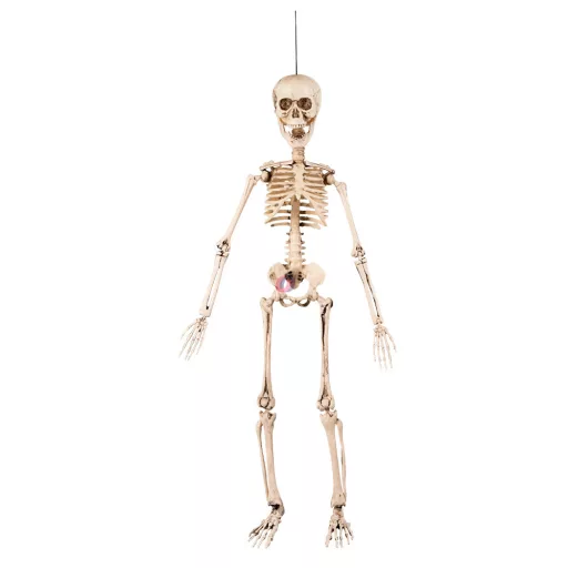 Halloweeni csontváz mozgatható végtagokkal 50 cm