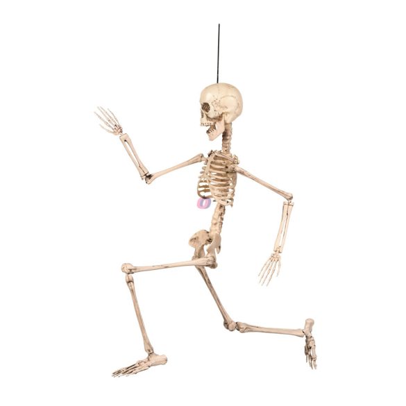 Halloweeni csontváz mozgatható végtagokkal 50 cm