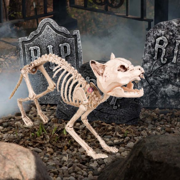XL Halloweeni macska csontváz 60 cm