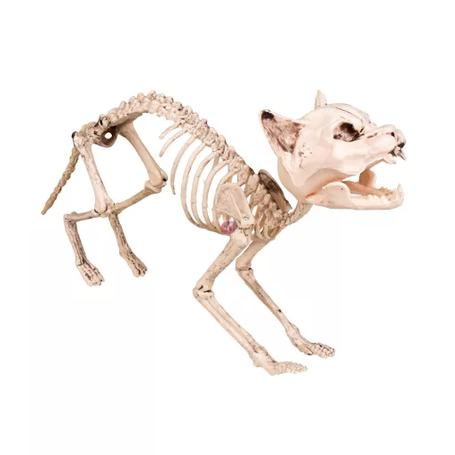 XL Halloweeni macska csontváz 60 cm