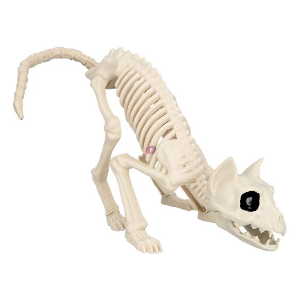 Halloweeni macska csontváz 51 cm Mozgatható állkapoccsal