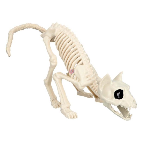 Halloweeni macska csontváz 51 cm Mozgatható állkapoccsal