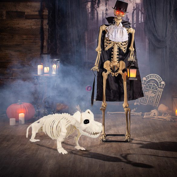 XL Halloweeni kutya csontváz 52 cm Mozgatható állkapoccsal