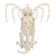   Halloweeni sárkány  csontváz  34 cm Mozgatható állkapoccsal